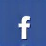 Facebook Icon